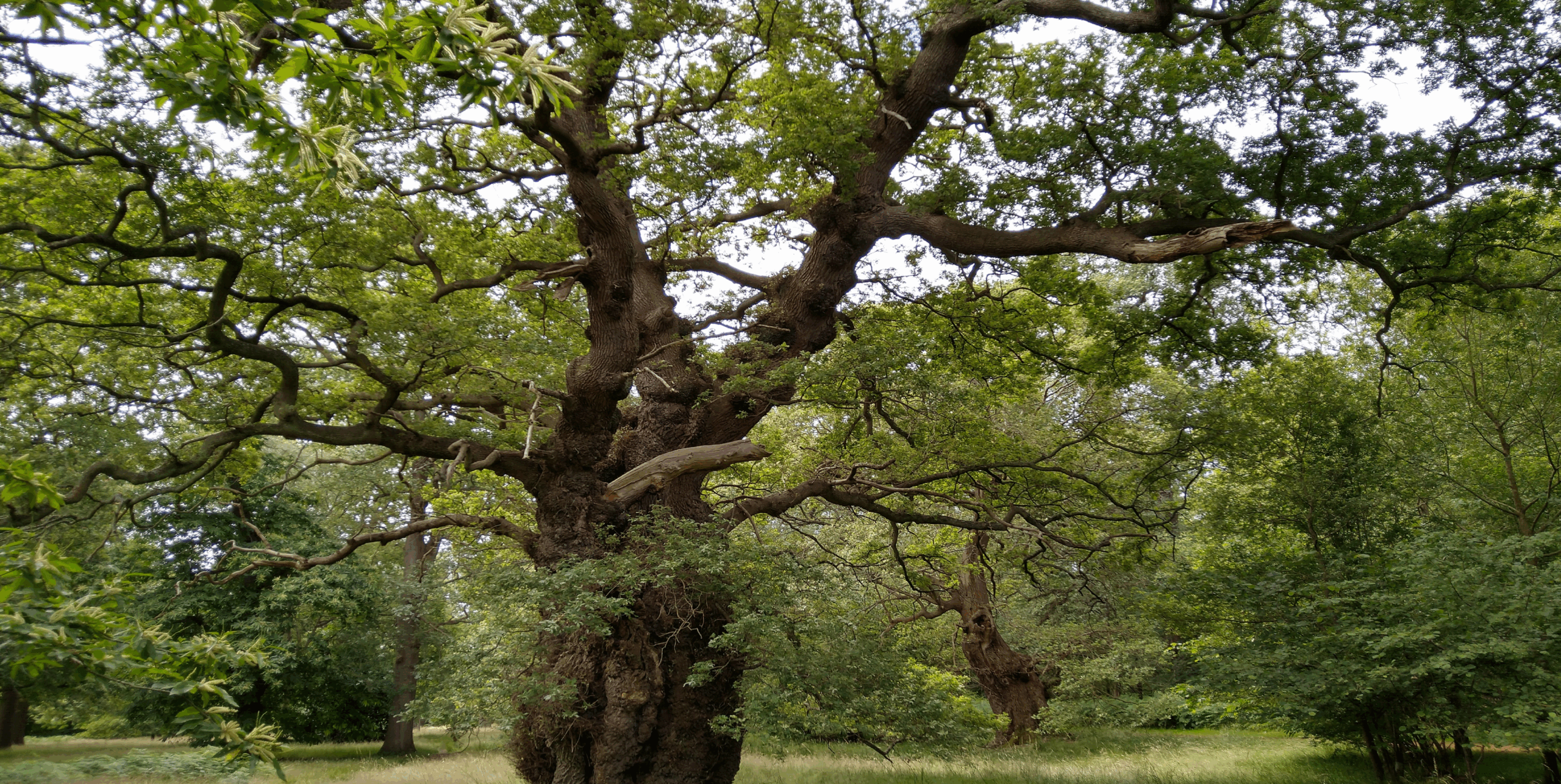 Do I really need therapy?